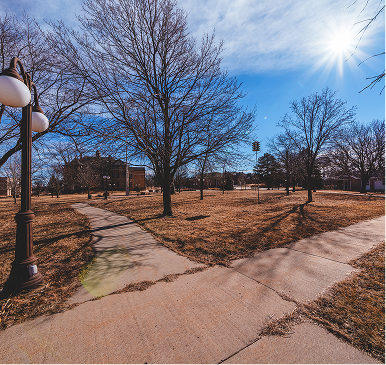 Greenspace